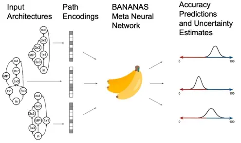 BANANAS: Bayesian Optimization with Neural Architectures for Neural Architecture Search